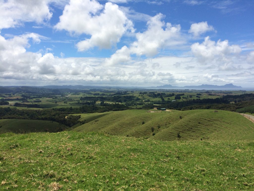 new_zealand_scenery